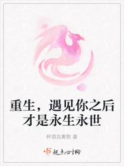 重生,遇见你之后才是永生永世